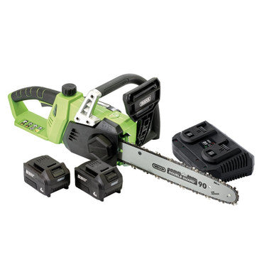 (D) D20 40V Chainsaw with Battery and Fast Charger