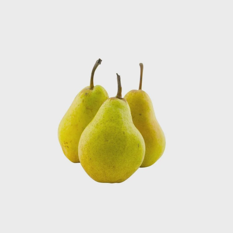 Pear Conference (Whit)