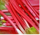 Rhubarb /kg