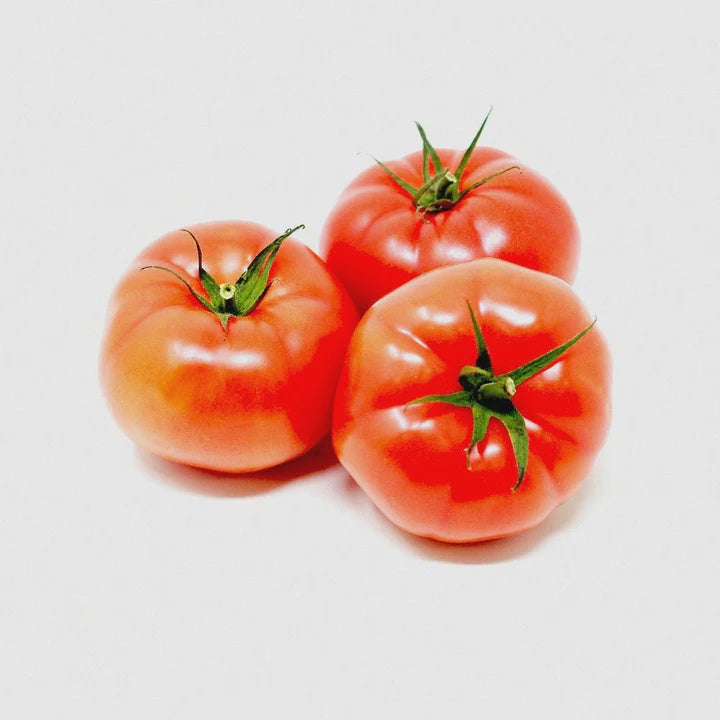 Salad Tomato (Whit)
