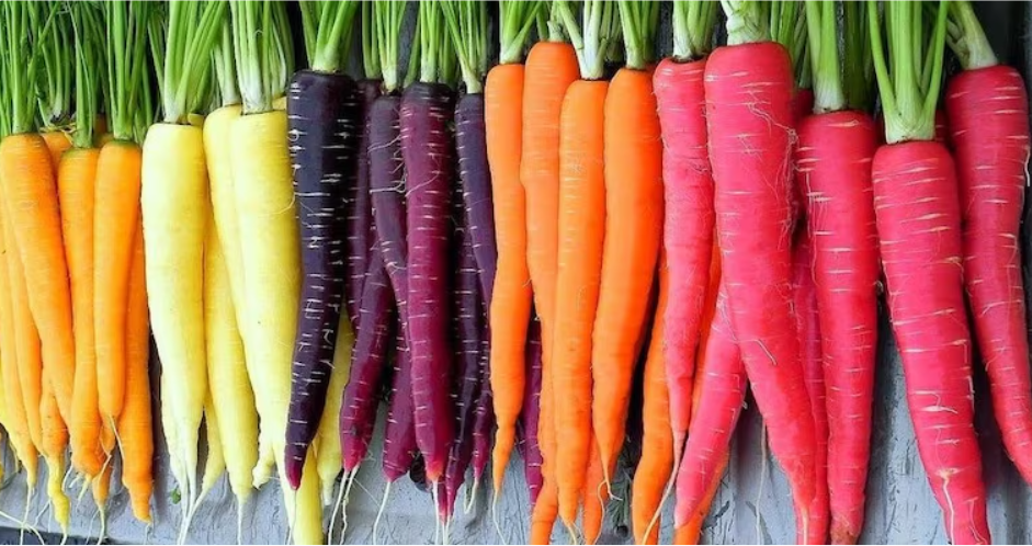 Rainbow Carrots /kg