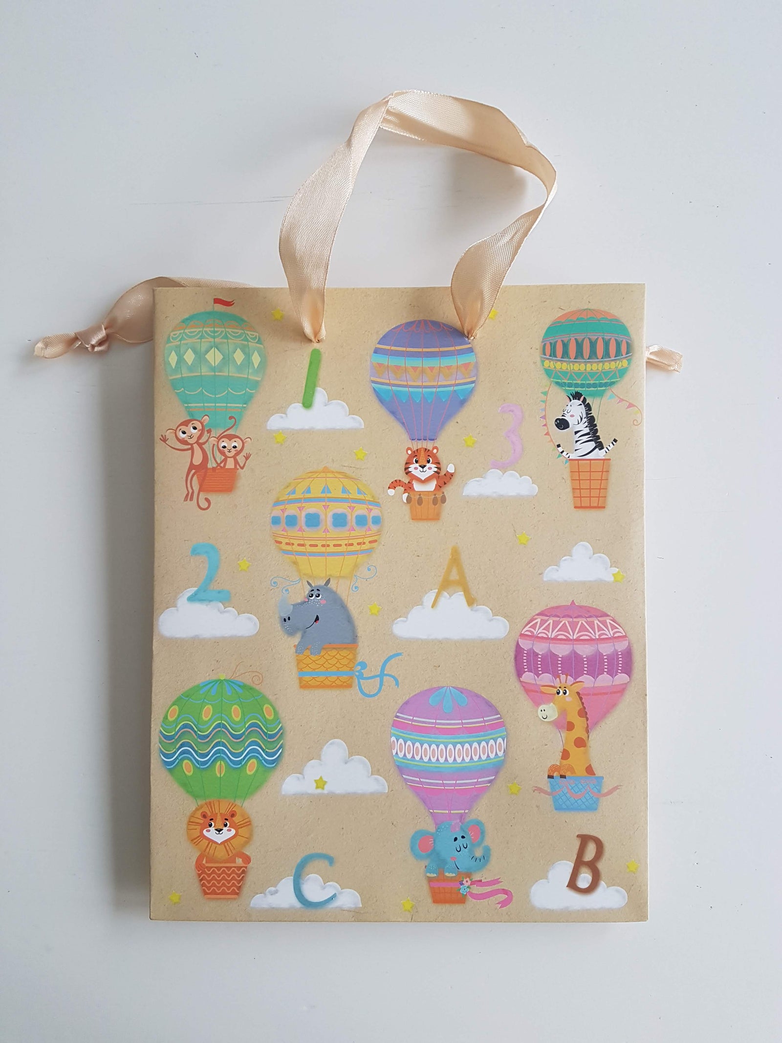 Hot Air Balloon Gift Bag