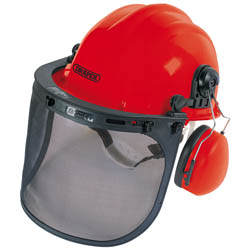 (D) Forestry Helmet