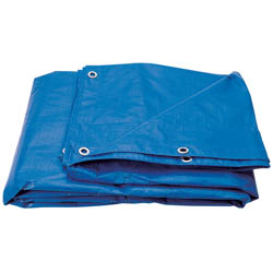 (D) Polyethylene Tarpaulin (3m x 5m)