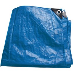 (D) Polyethylene Tarpaulin (5m x 8m)