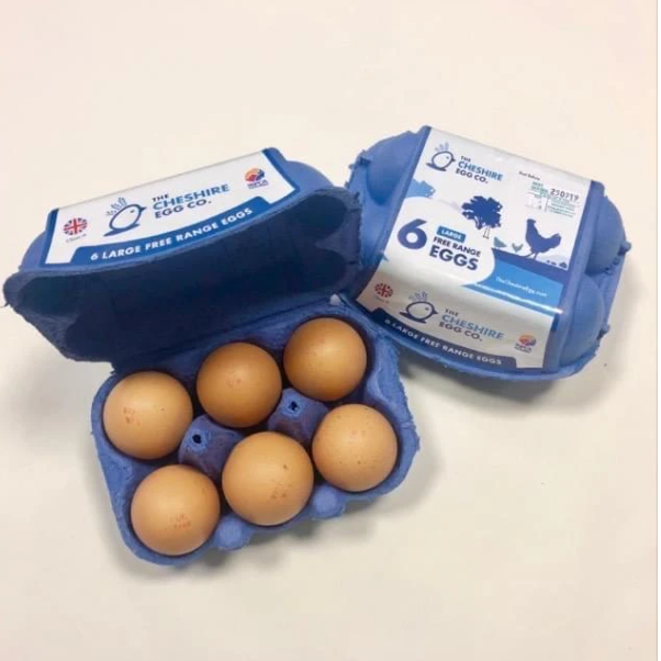 Cheshire Egg Co. Free Range Eggs Large 6pk PP