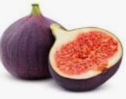 Fig Single (WMH)