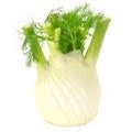 Fennel (WMH)