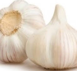 Garlic Single (WMH)