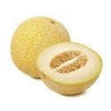 Melon Galia (WMH)