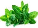 Mint 50g (WMH)