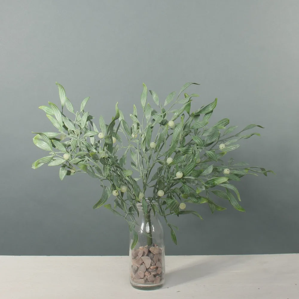 Mistletoe