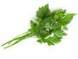 Parsley 50g (WMH)