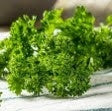Parsley Flat Bunch (WMH)