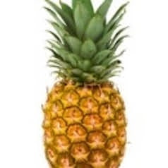Pineapple (WMH)