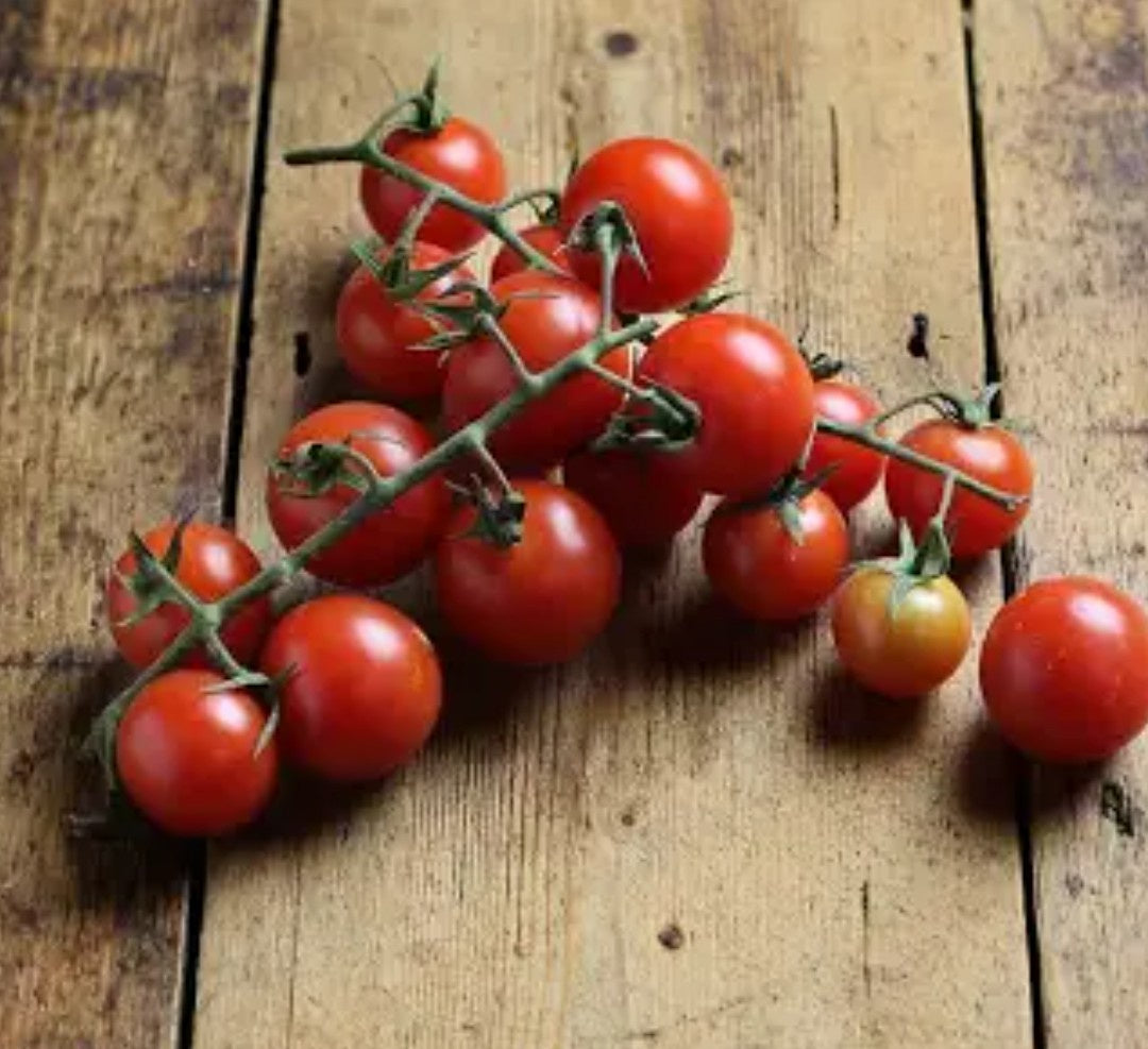 Cherry Tomatoes on the Vine (WMH) /kg