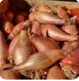 Shallots (WMH) /kg