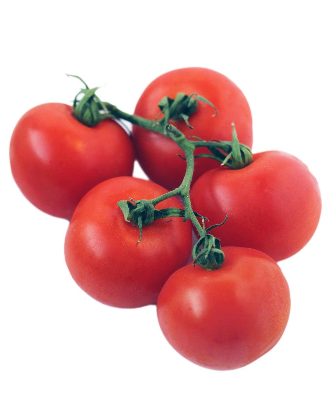 Large Vine Tomatoes  (approx. 6) (WMH)